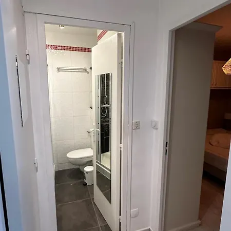 Apartment Mazet De La 54m2 Lavandou 100m Avec Piscine